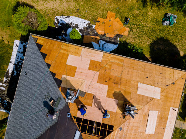 Best Roof Gutter Cleaning  in Laurence Harbor, NJ
